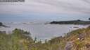 ./images/calvert/foggy-cove/20260524/foggy-cove20260524_061002M.jpg