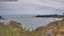 ./images/calvert/foggy-cove/20260524/foggy-cove20260524_062001M.jpg