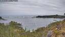 ./images/calvert/foggy-cove/20260524/foggy-cove20260524_063001M.jpg