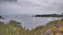 ./images/calvert/foggy-cove/20260524/foggy-cove20260524_063501M.jpg