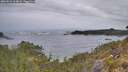 ./images/calvert/foggy-cove/20260524/foggy-cove20260524_064001M.jpg