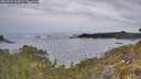 ./images/calvert/foggy-cove/20260524/foggy-cove20260524_064501M.jpg