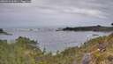 ./images/calvert/foggy-cove/20260524/foggy-cove20260524_065001M.jpg