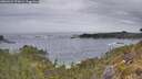 ./images/calvert/foggy-cove/20260524/foggy-cove20260524_070001M.jpg