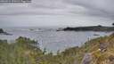 ./images/calvert/foggy-cove/20260524/foggy-cove20260524_070501M.jpg