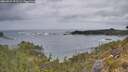 ./images/calvert/foggy-cove/20260524/foggy-cove20260524_072501M.jpg