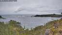 ./images/calvert/foggy-cove/20260524/foggy-cove20260524_074001M.jpg