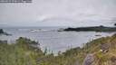./images/calvert/foggy-cove/20260524/foggy-cove20260524_074501M.jpg