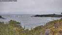 ./images/calvert/foggy-cove/20260524/foggy-cove20260524_075501M.jpg