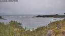 ./images/calvert/foggy-cove/20260524/foggy-cove20260524_080501M.jpg