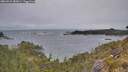 ./images/calvert/foggy-cove/20260524/foggy-cove20260524_081001M.jpg