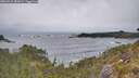 ./images/calvert/foggy-cove/20260524/foggy-cove20260524_082001M.jpg