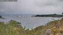 ./images/calvert/foggy-cove/20260524/foggy-cove20260524_082501M.jpg