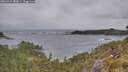 ./images/calvert/foggy-cove/20260524/foggy-cove20260524_083001M.jpg