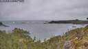 ./images/calvert/foggy-cove/20260524/foggy-cove20260524_083501M.jpg