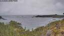 ./images/calvert/foggy-cove/20260524/foggy-cove20260524_084001M.jpg