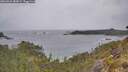 ./images/calvert/foggy-cove/20260524/foggy-cove20260524_085001M.jpg