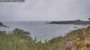./images/calvert/foggy-cove/20260524/foggy-cove20260524_090001M.jpg
