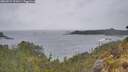 ./images/calvert/foggy-cove/20260524/foggy-cove20260524_091001M.jpg