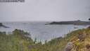 ./images/calvert/foggy-cove/20260524/foggy-cove20260524_091501M.jpg