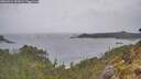 ./images/calvert/foggy-cove/20260524/foggy-cove20260524_092001M.jpg