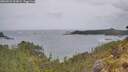 ./images/calvert/foggy-cove/20260524/foggy-cove20260524_093001M.jpg