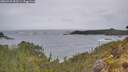 ./images/calvert/foggy-cove/20260524/foggy-cove20260524_093501M.jpg