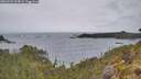 ./images/calvert/foggy-cove/20260524/foggy-cove20260524_094002M.jpg
