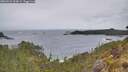 ./images/calvert/foggy-cove/20260524/foggy-cove20260524_094501M.jpg