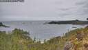 ./images/calvert/foggy-cove/20260524/foggy-cove20260524_095001M.jpg