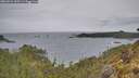./images/calvert/foggy-cove/20260524/foggy-cove20260524_095501M.jpg
