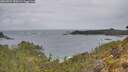 ./images/calvert/foggy-cove/20260524/foggy-cove20260524_100501M.jpg
