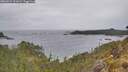 ./images/calvert/foggy-cove/20260524/foggy-cove20260524_101002M.jpg
