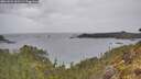 ./images/calvert/foggy-cove/20260524/foggy-cove20260524_101501M.jpg