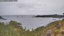 ./images/calvert/foggy-cove/20260524/foggy-cove20260524_102001M.jpg