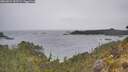 ./images/calvert/foggy-cove/20260524/foggy-cove20260524_102501M.jpg