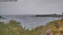 ./images/calvert/foggy-cove/20260524/foggy-cove20260524_104001M.jpg