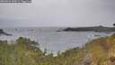 ./images/calvert/foggy-cove/20260524/foggy-cove20260524_104502M.jpg