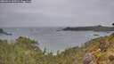 ./images/calvert/foggy-cove/20260524/foggy-cove20260524_105502M.jpg