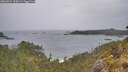 ./images/calvert/foggy-cove/20260524/foggy-cove20260524_110501M.jpg