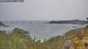 ./images/calvert/foggy-cove/20260524/foggy-cove20260524_111001M.jpg