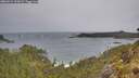 ./images/calvert/foggy-cove/20260524/foggy-cove20260524_112002M.jpg