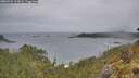 ./images/calvert/foggy-cove/20260524/foggy-cove20260524_113001M.jpg
