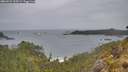 ./images/calvert/foggy-cove/20260524/foggy-cove20260524_113501M.jpg