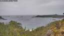 ./images/calvert/foggy-cove/20260524/foggy-cove20260524_114001M.jpg