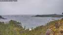 ./images/calvert/foggy-cove/20260524/foggy-cove20260524_114502M.jpg