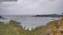 ./images/calvert/foggy-cove/20260524/foggy-cove20260524_115002M.jpg