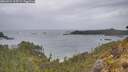 ./images/calvert/foggy-cove/20260524/foggy-cove20260524_115501M.jpg