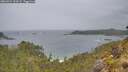 ./images/calvert/foggy-cove/20260524/foggy-cove20260524_120501M.jpg