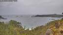 ./images/calvert/foggy-cove/20260524/foggy-cove20260524_122501M.jpg